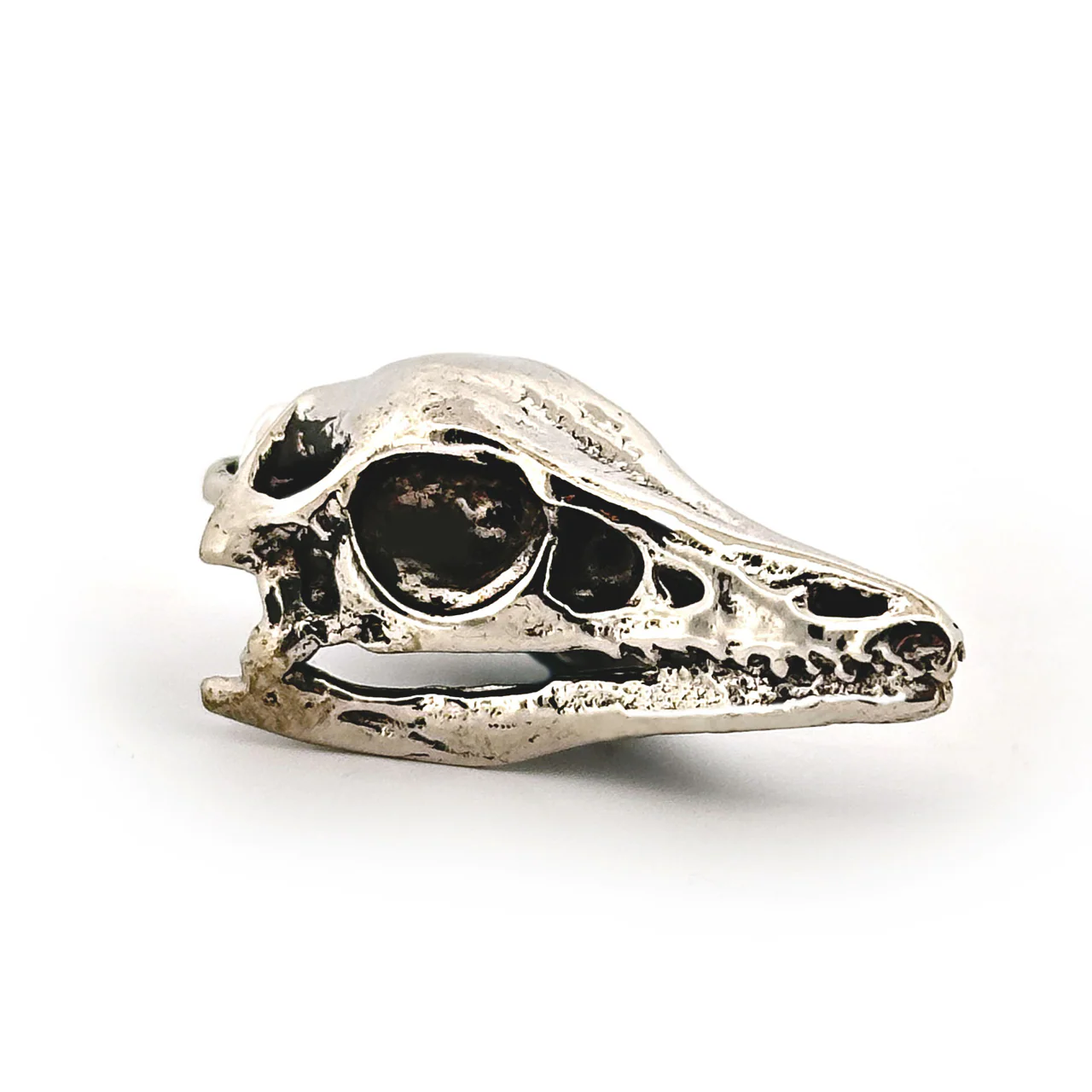 Archaeopteryx Skull Pendant