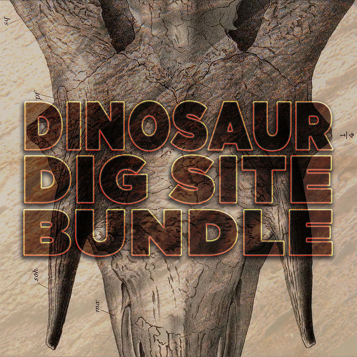 Dinosaur Dig Site Bundle