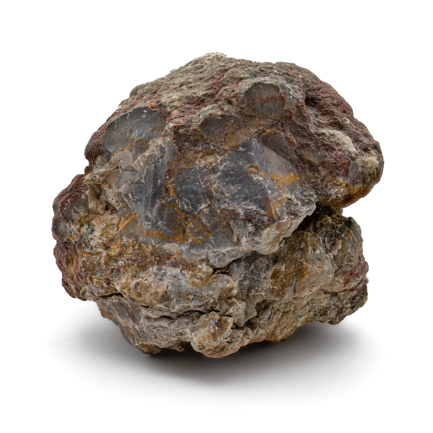Dinosaur Dung (Coprolite) - SOLD 2.954" - Image 4