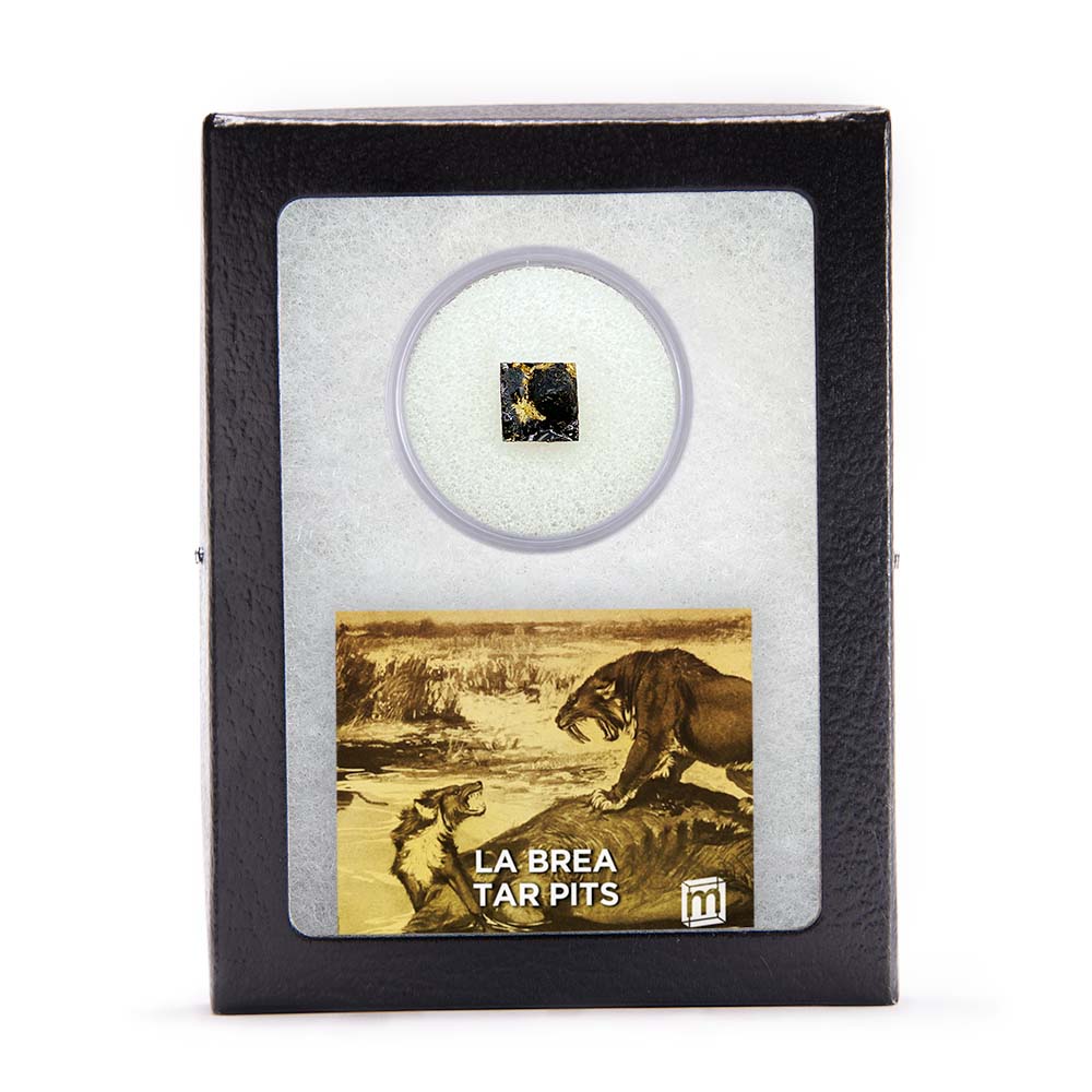 Golden State California Bundle - Image 6