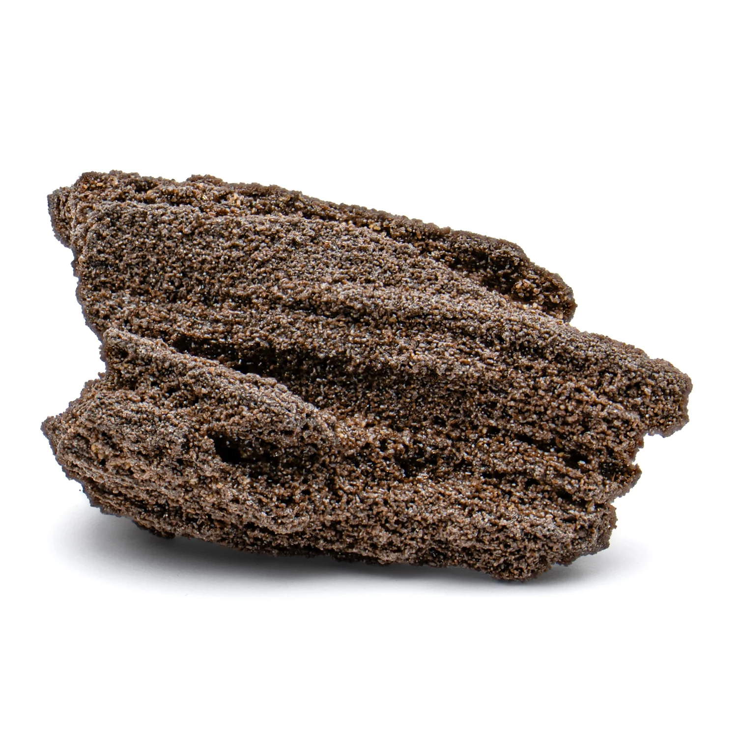 Permineralized Sparklewood - SOLD 2.054" - Image 6