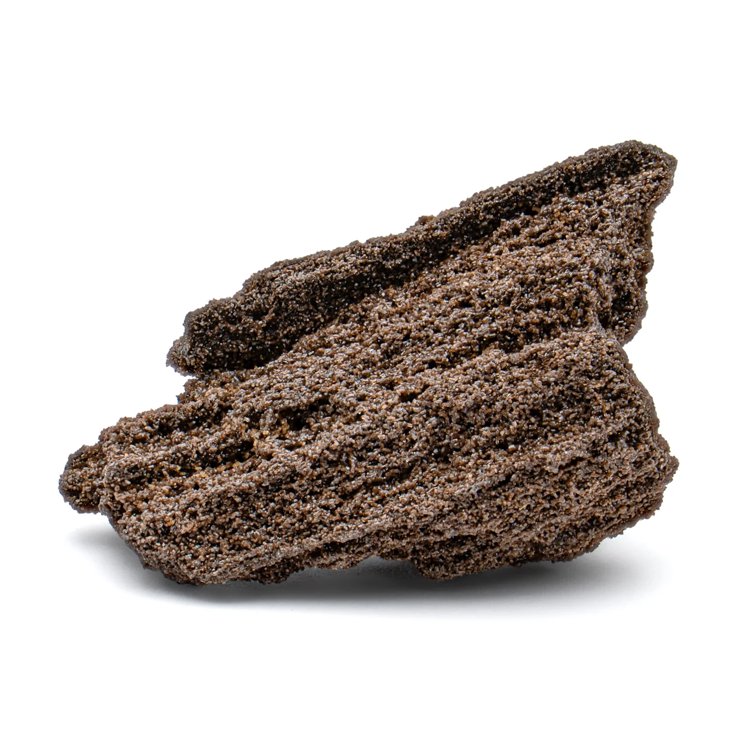 Permineralized Sparklewood - SOLD 2.054" - Image 7