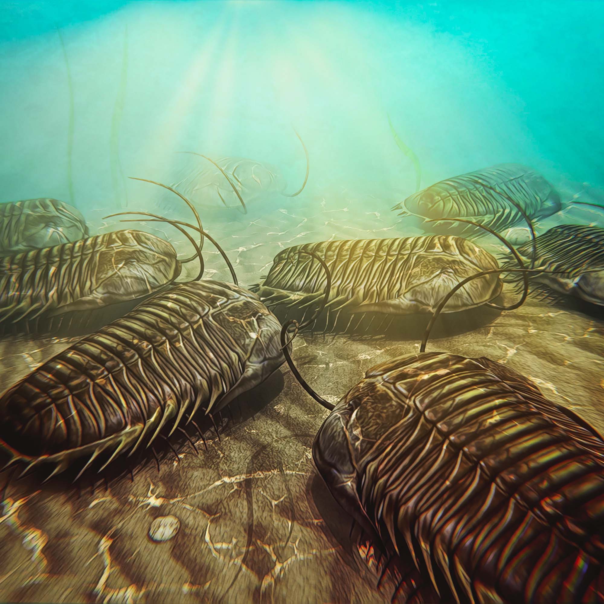 Trilobite Jewelry - Image 11